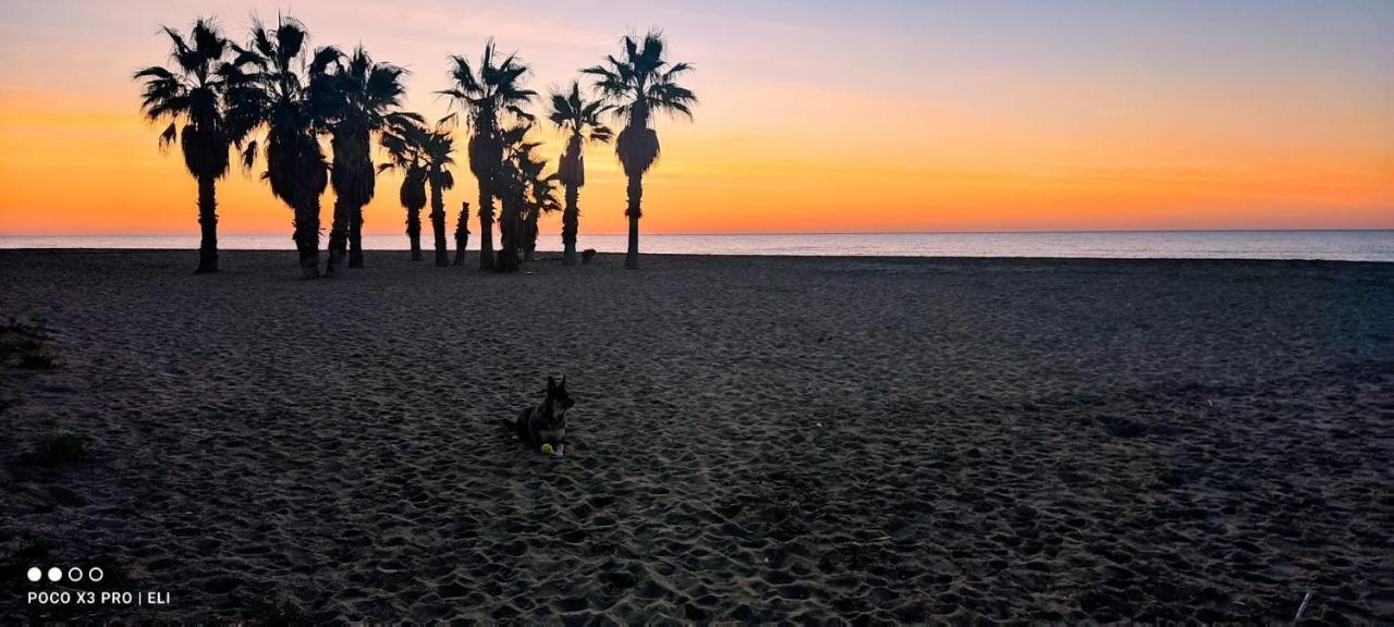 Encantador Apto En La Playa Coma-ruga Dış mekan fotoğraf