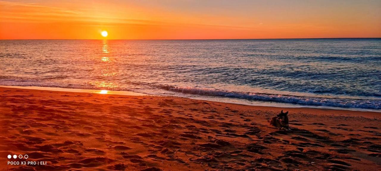 Encantador Apto En La Playa Coma-ruga Dış mekan fotoğraf