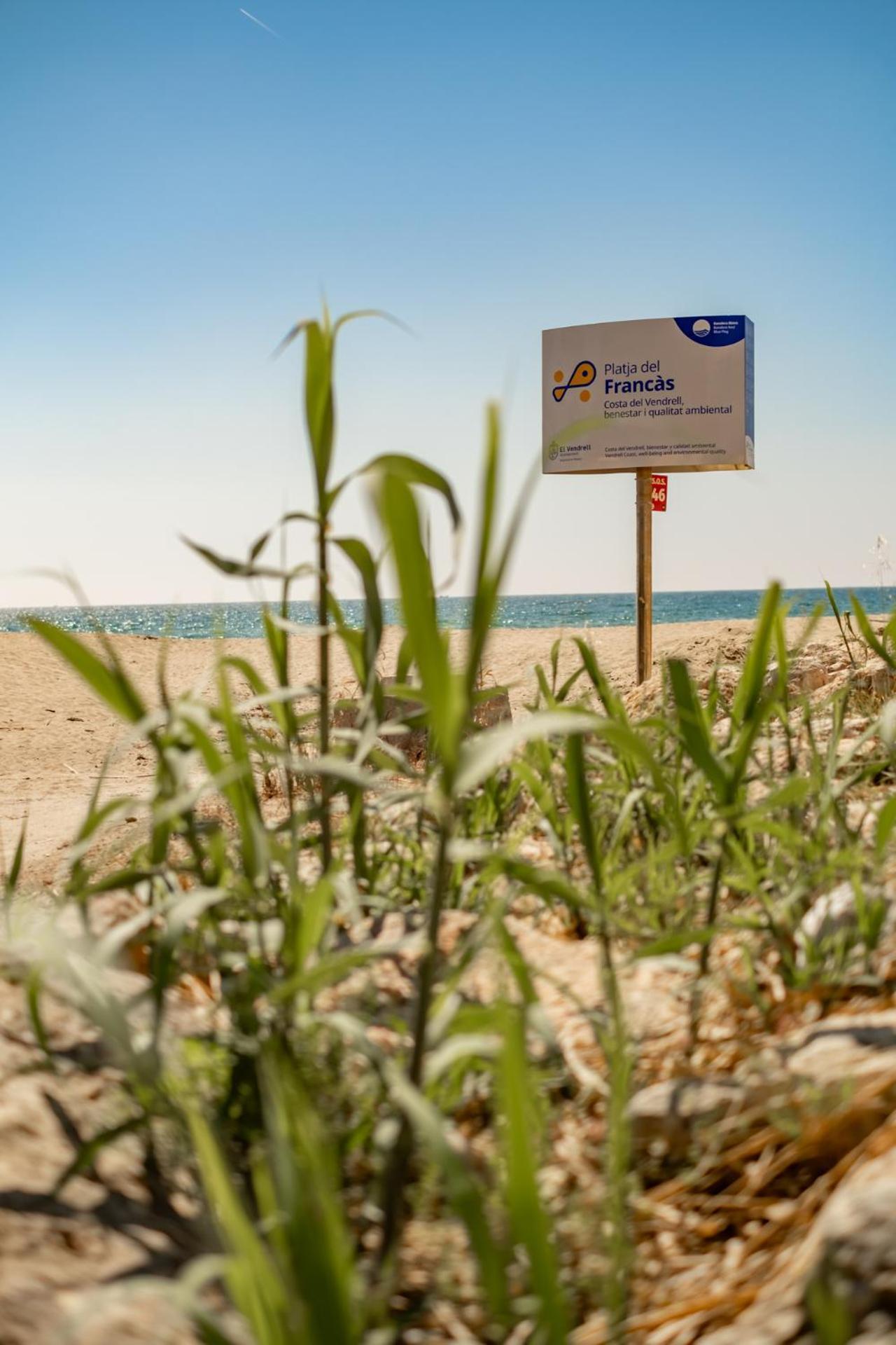 Encantador Apto En La Playa Coma-ruga Dış mekan fotoğraf