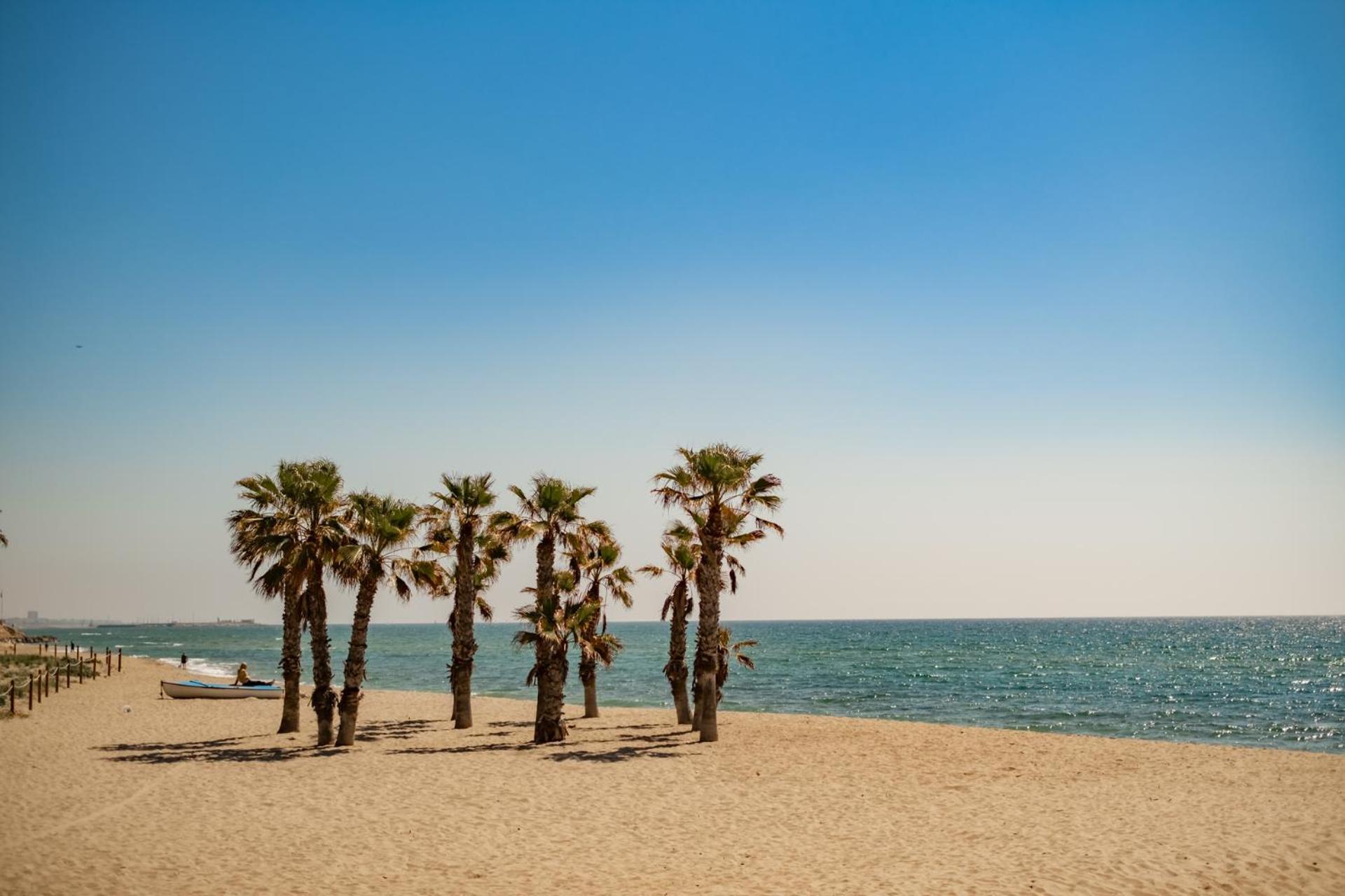 Encantador Apto En La Playa Coma-ruga Dış mekan fotoğraf